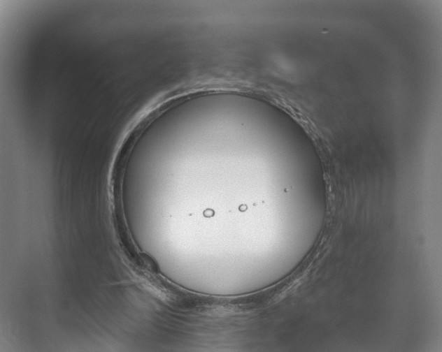 X0000073710246200608031048