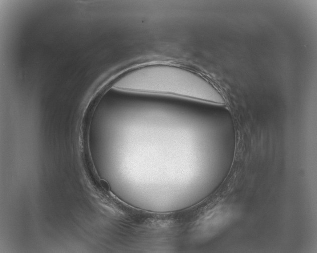 X0000073710247200608031048