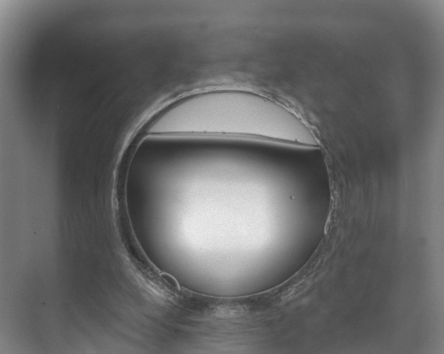 X0000073710248200608031048