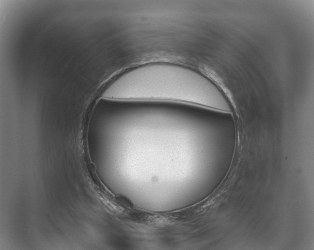 X0000073710249200608031048