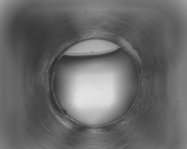 X0000073710250200608031048