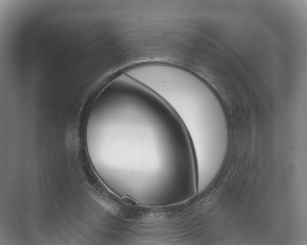 X0000073710252200608031048