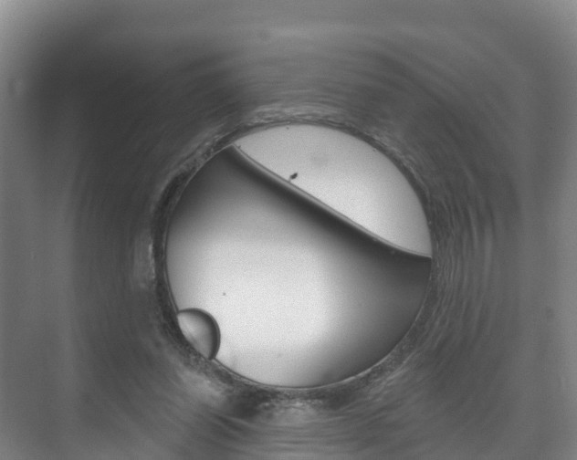 X0000073710254200608031048