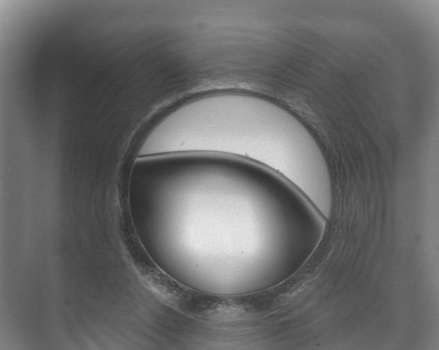 X0000073710256200608031048