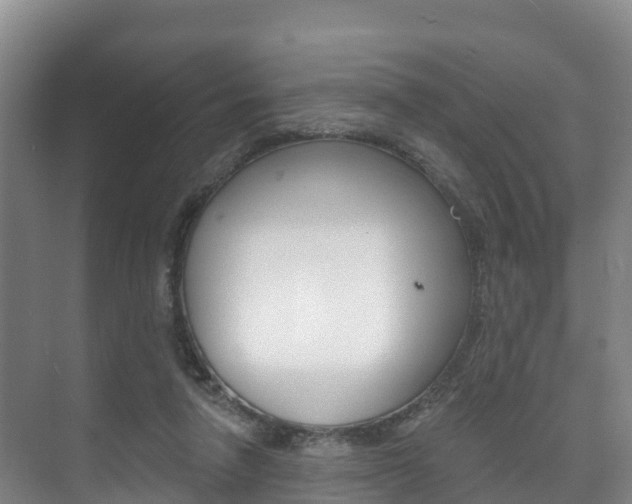 X0000073710258200608031048