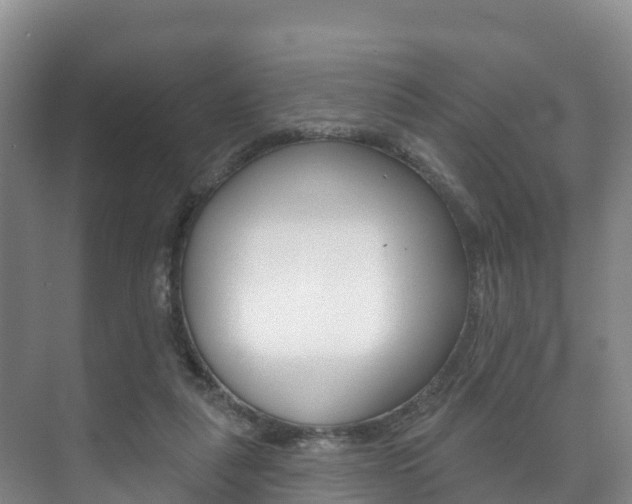 X0000073710259200608031048