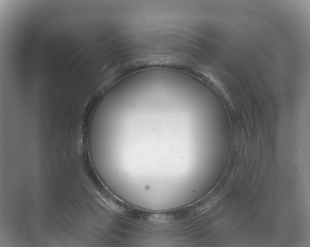 X0000073710261200608031048