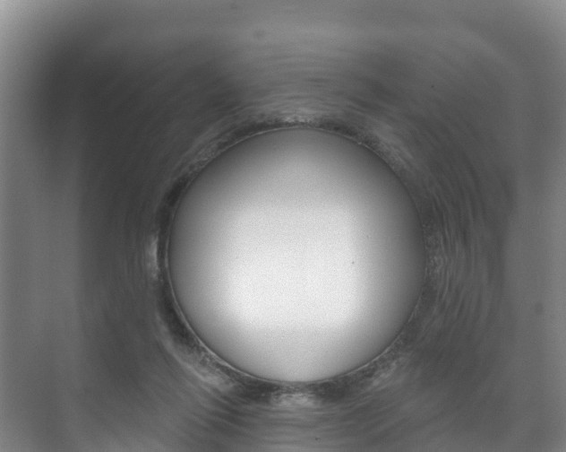 X0000073710262200608031048