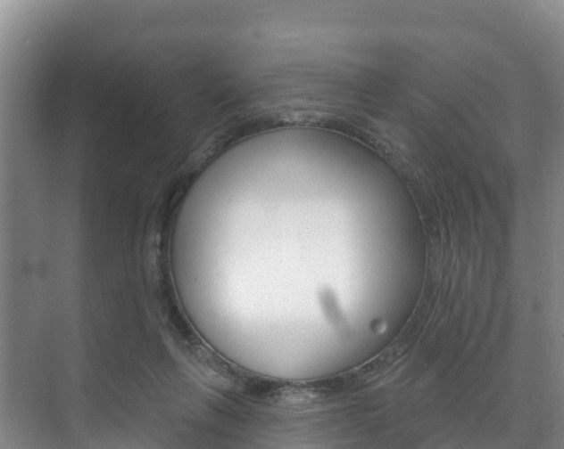 X0000073710263200608031048