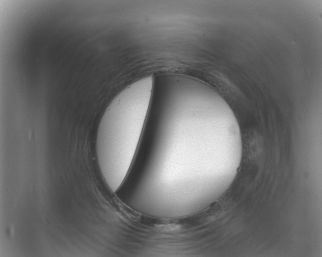 X0000073710266200608031048