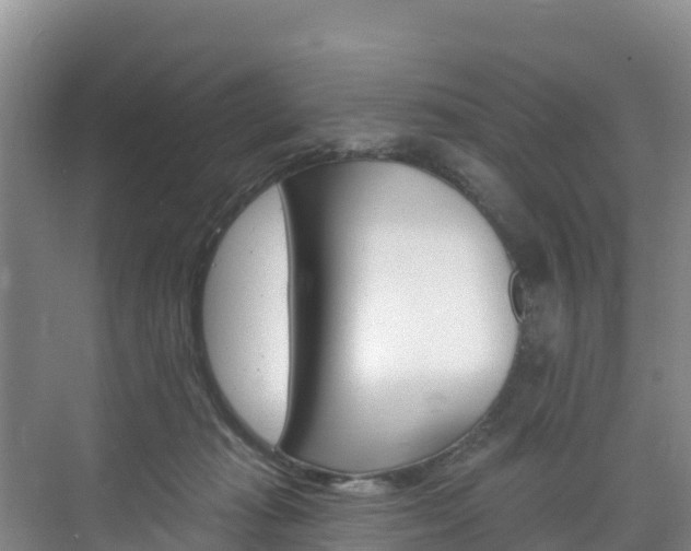 X0000073710269200608031048