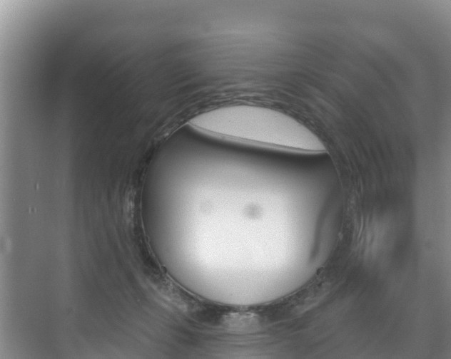 X0000073710271200608031048