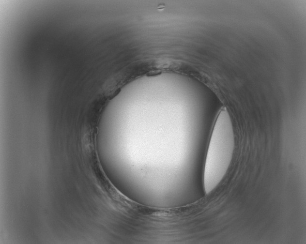 X0000073710272200608031048