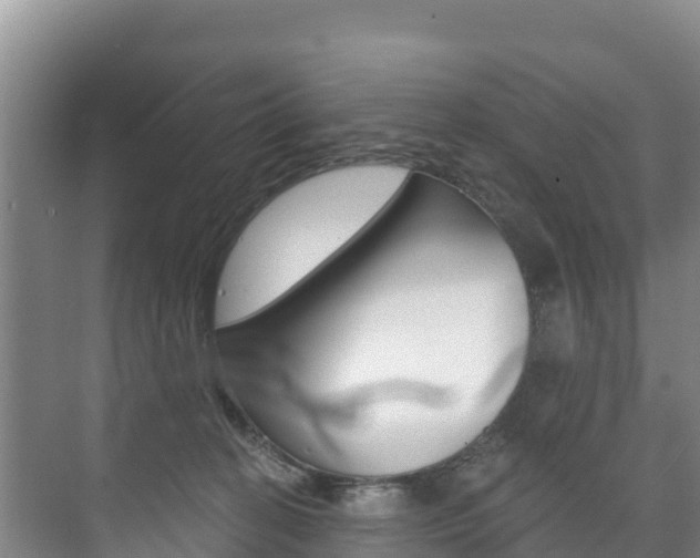 X0000073710274200608031048