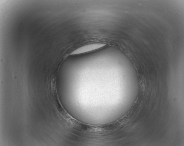 X0000073710276200608031048