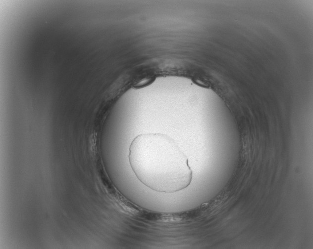 X0000073710278200608031048