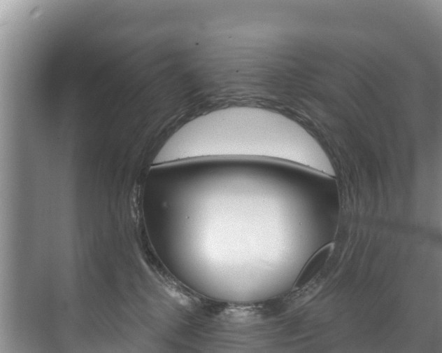 X0000073710280200608031048