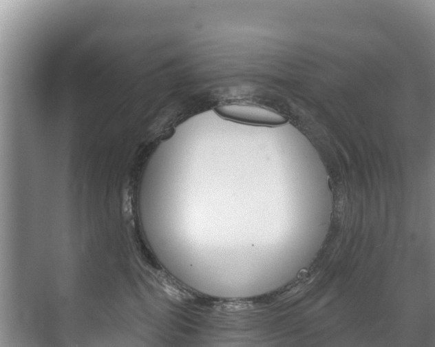 X0000073710282200608031048