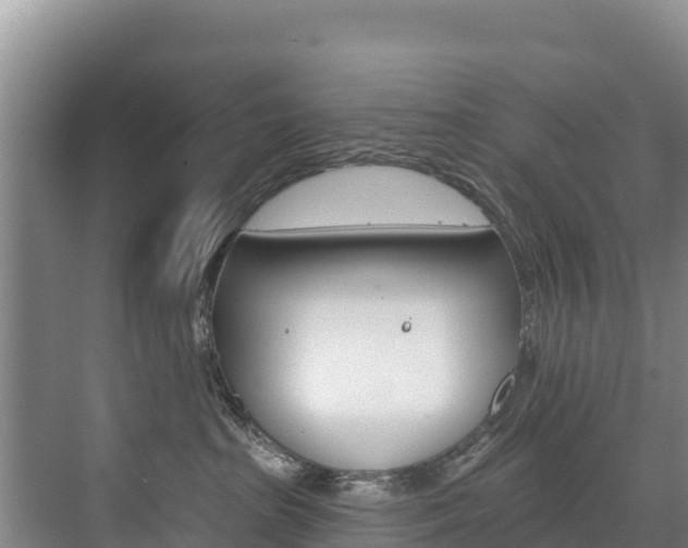 X0000073710285200608031048