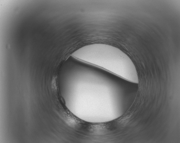 X0000073710286200608031048