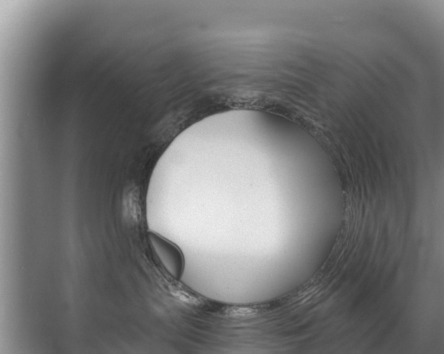 X0000073710287200608031048