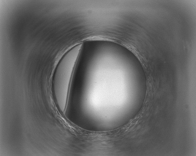 X0000073710289200608031047