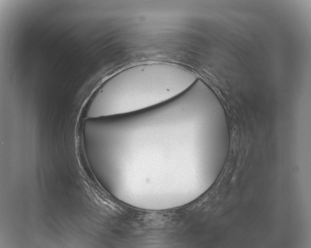 X0000073710290200608031047