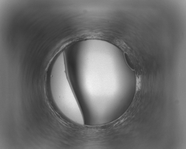 X0000073710291200608031047