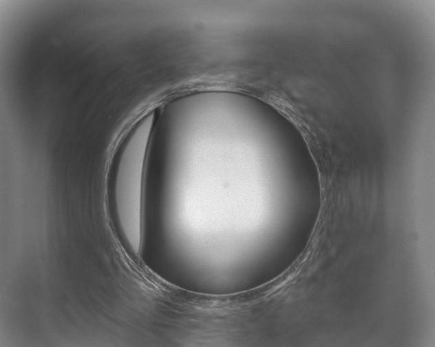 X0000073710293200608031047