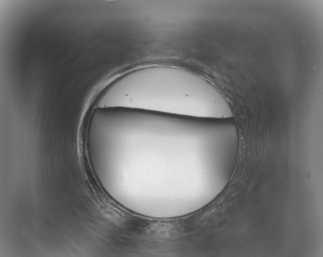 X0000073710294200608031047