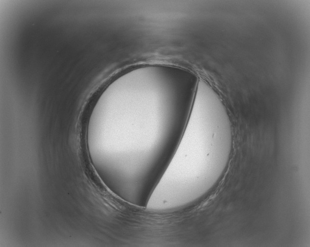 X0000073710295200608031047