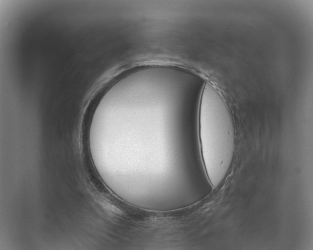 X0000073710296200608031047