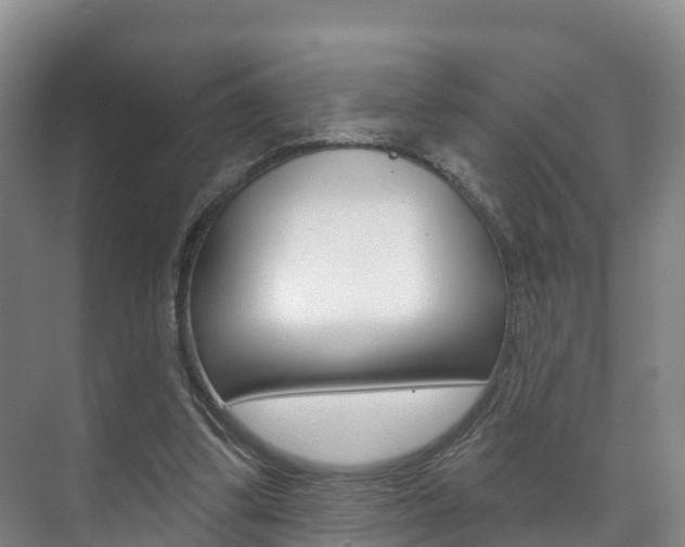 X0000073710299200608031047