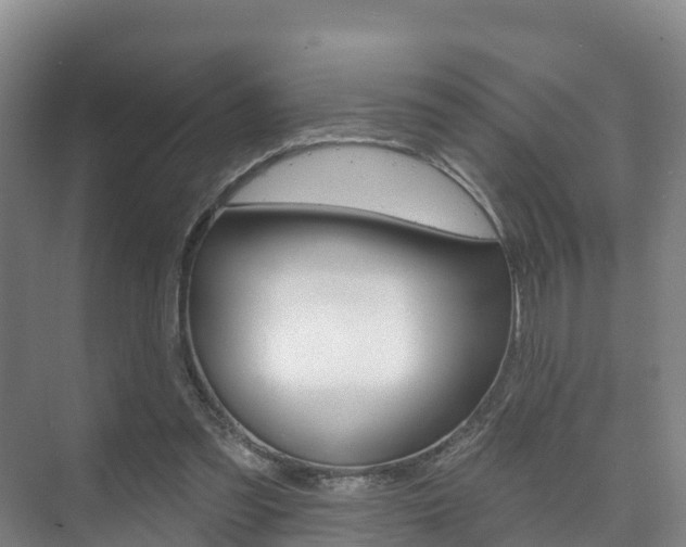 X0000073710301200608031047