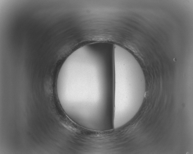 X0000073710303200608031047