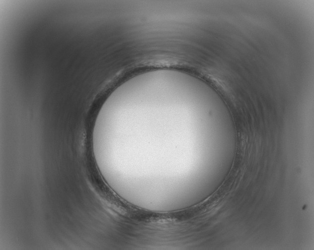 X0000073710304200608031047