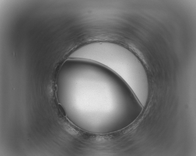 X0000073710305200608031047