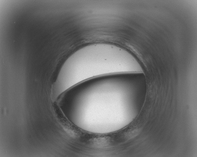 X0000073710307200608031047