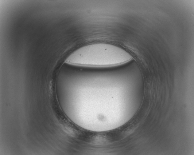 X0000073710308200608031047