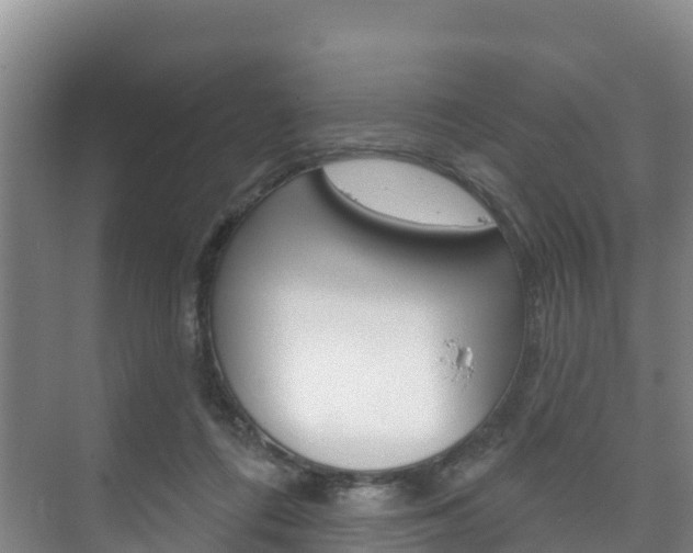 X0000073710312200608031047