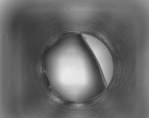 X0000073710313200608031047