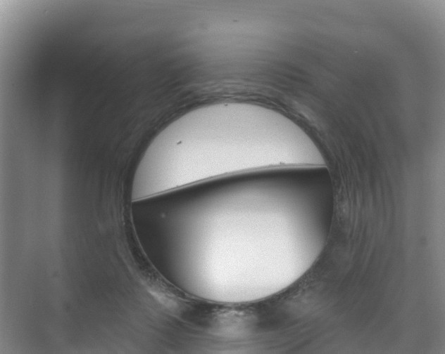 X0000073710315200608031047