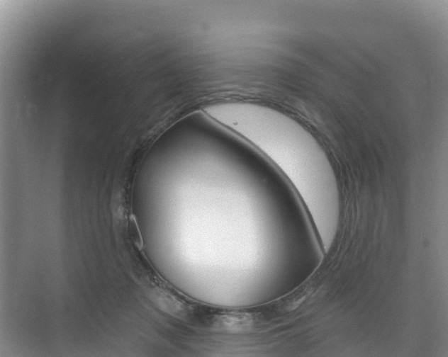 X0000073710317200608031047