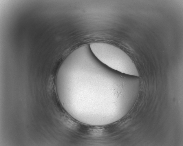 X0000073710318200608031047