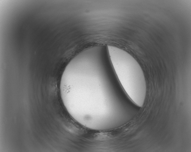 X0000073710320200608031047