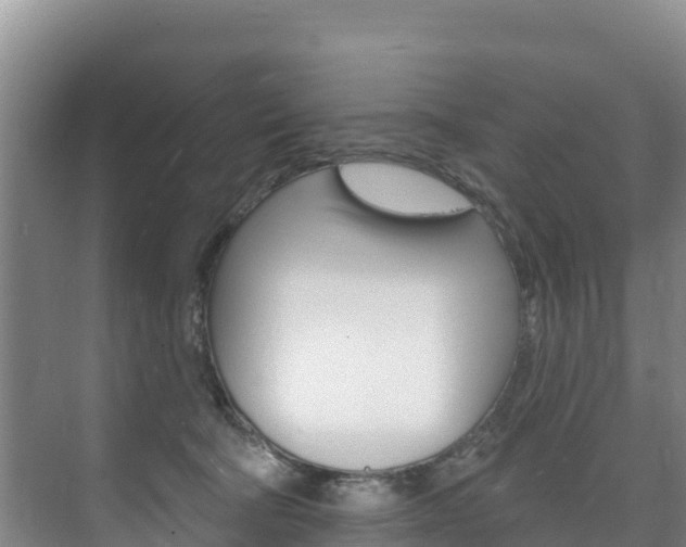 X0000073710322200608031047