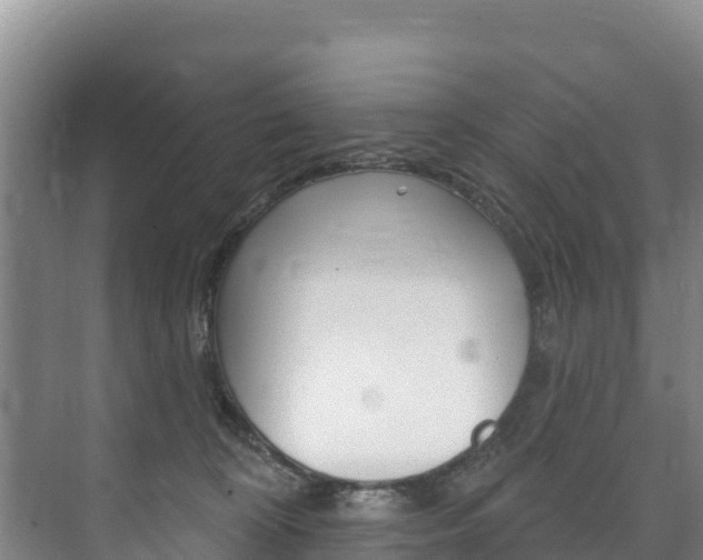 X0000073710324200608031047