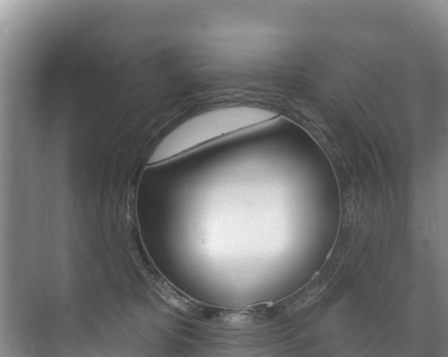 X0000073710325200608031047