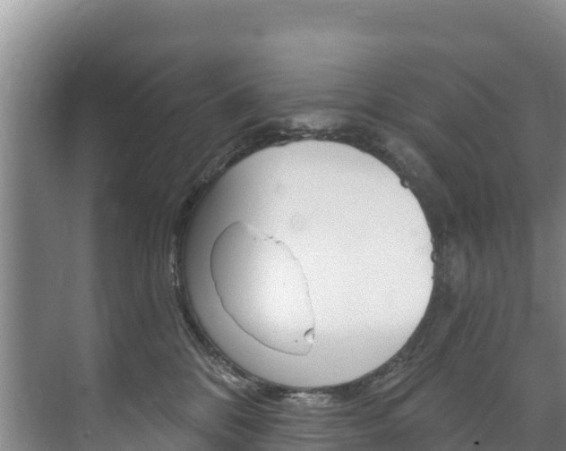 X0000073710328200608031047