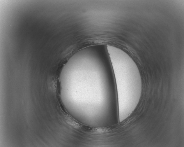 X0000073710329200608031047